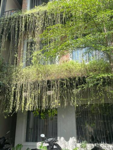 ダナンのIKIGAI Dorm Hostel - Danang Beach — 写真5
