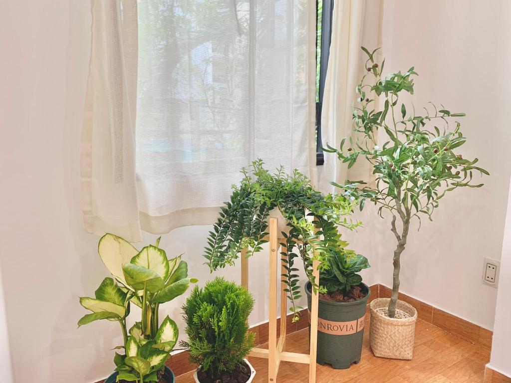ダナンのCha Va Homestay 4BRs, 5mins to beach — 写真6