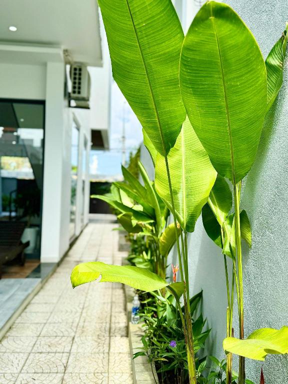 ダナンのVilla - 5 bed - hồ bơi, bàn bida - Ngũ Hành Sơn — 写真5