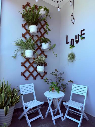 Dragon Bridge Aparment- Gần Biển & Trung Tâm in Da Nang — photo 4