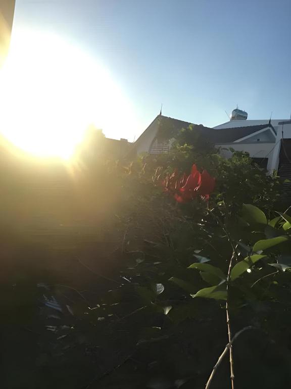 ダナンのLu Peaceful Homestay — 写真6